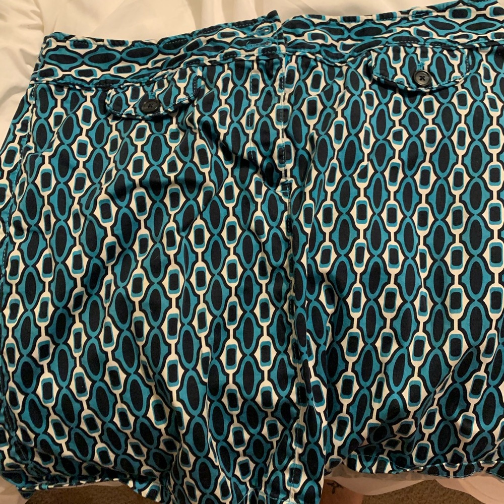 Ann Taylor skirt
